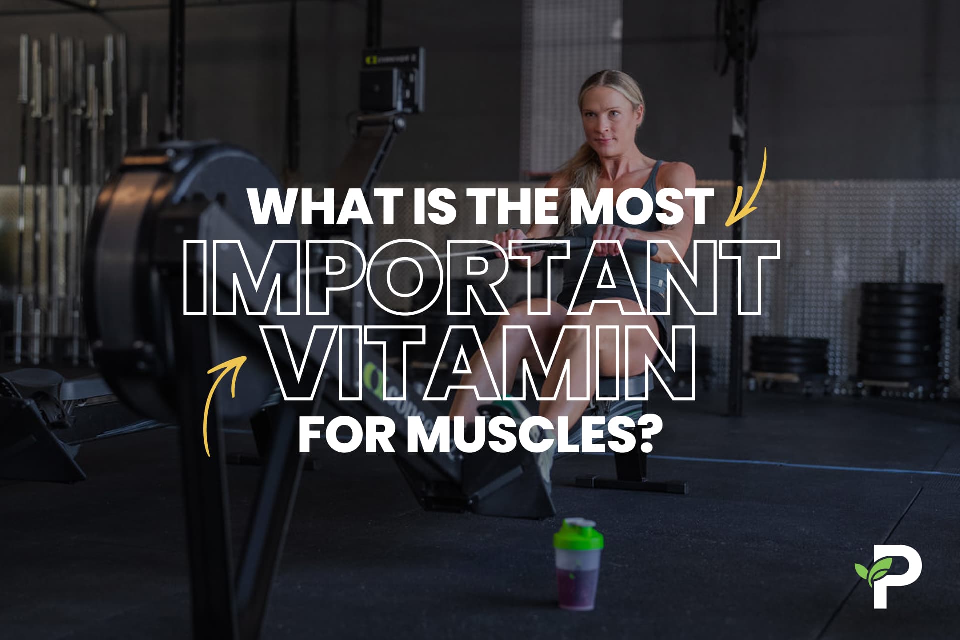What is the Most Important Vitamin for Muscles?