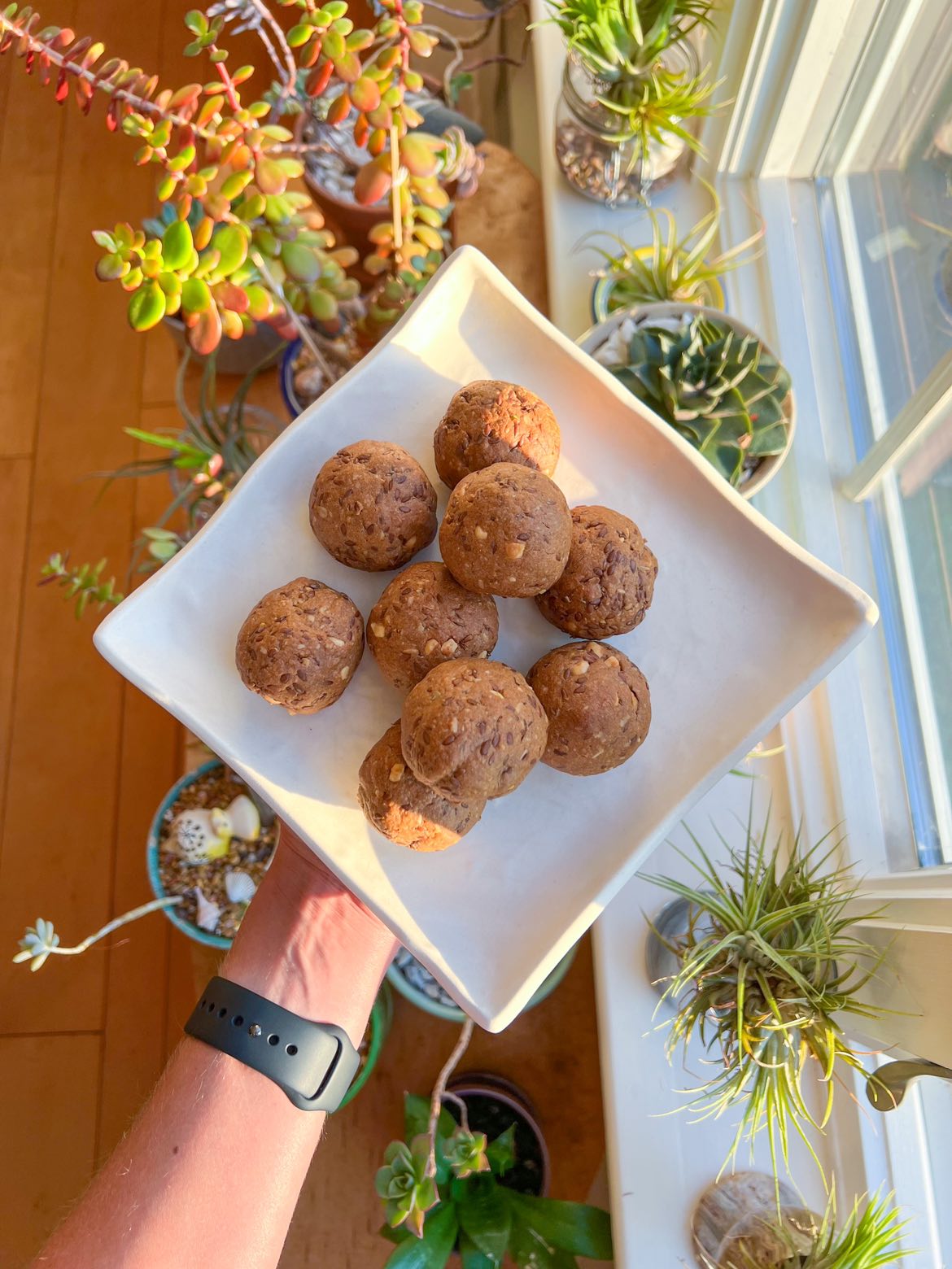 Peanut Butter Protein Cookie Balls