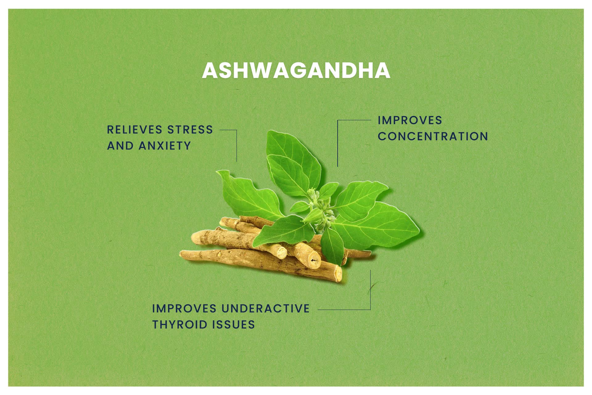 4 Benefits of Ashwagandha