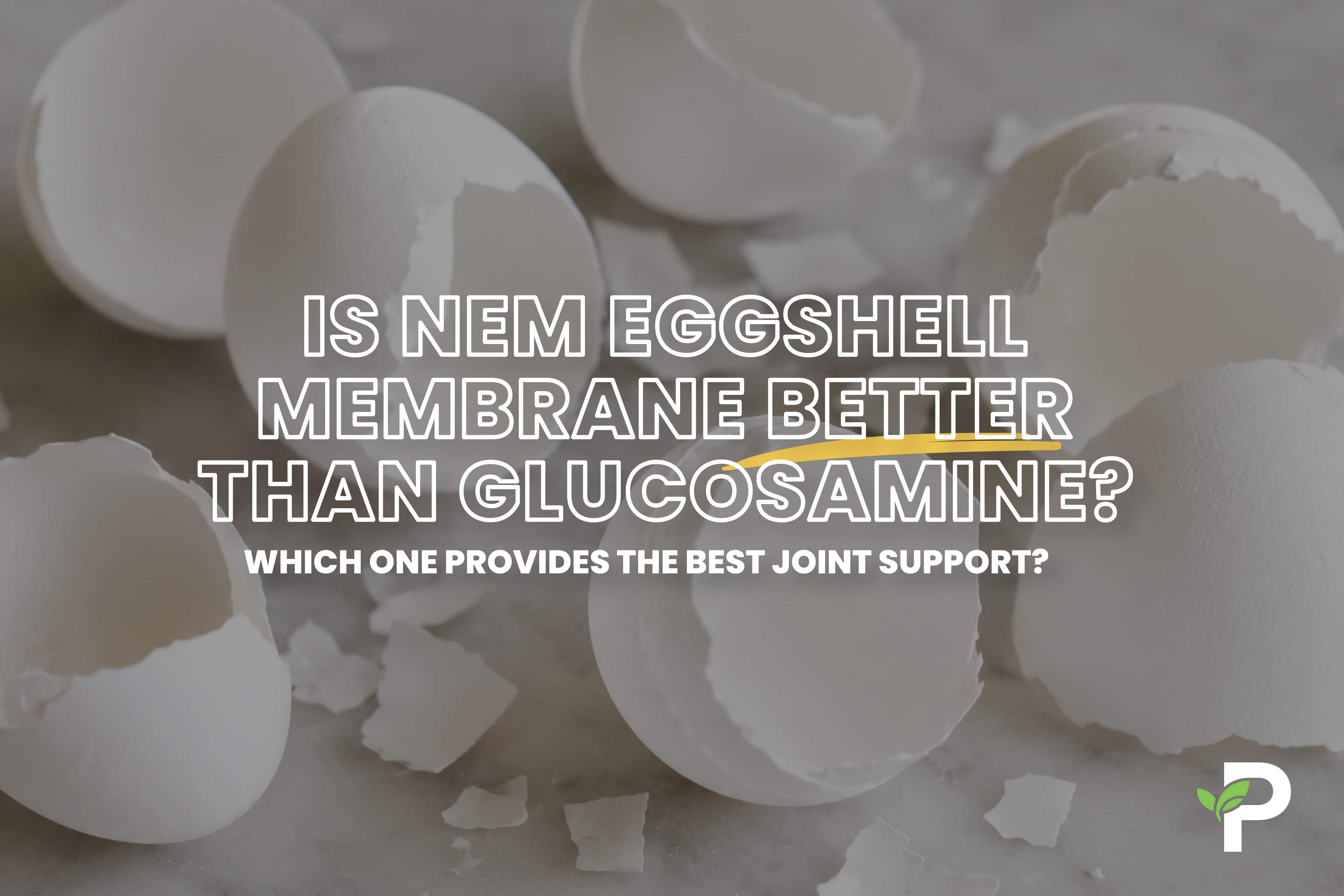 Is NEM Eggshell Membrane Better Than Glucosamine?