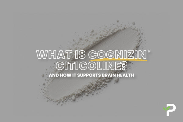 What Is Cognizin® Citicoline? Benefits, Dosage, and What the Research Says