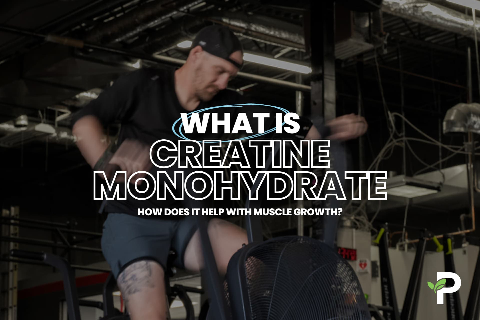 What Is Creatine Monohydrate, And How Does It Help With Muscle Growth?