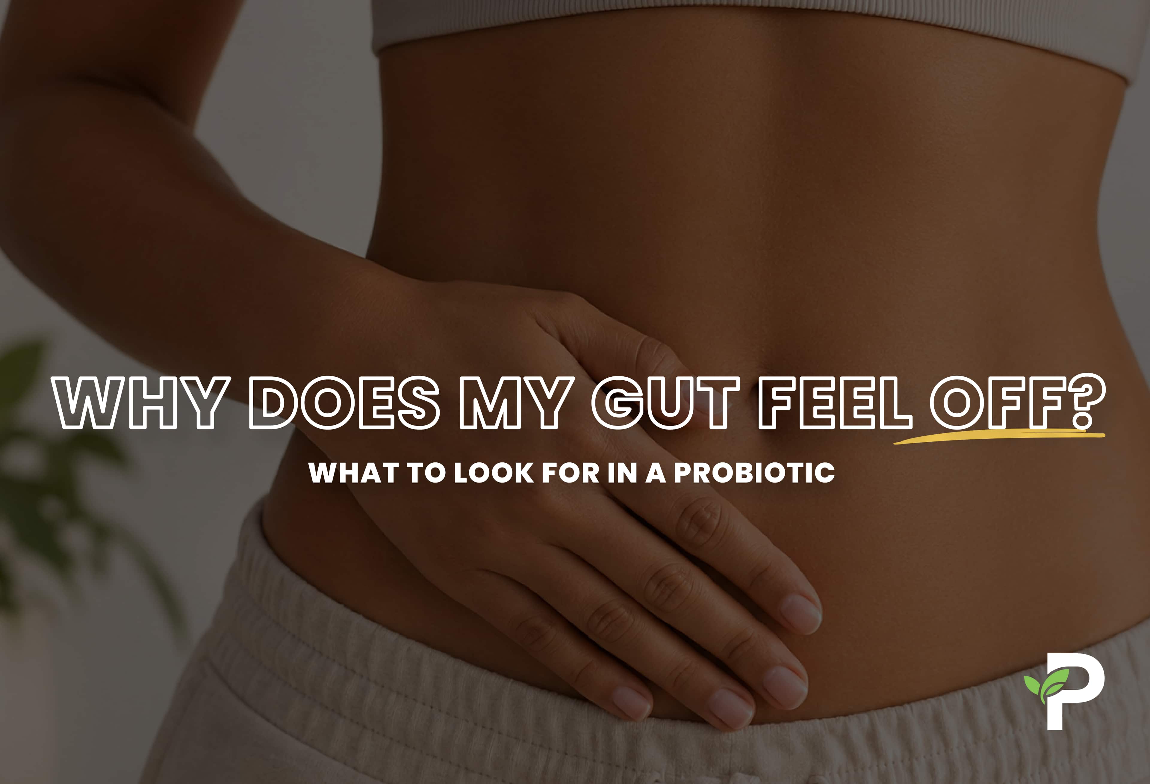 Why Does My Gut Feel Off? What to Look for in a Probiotic