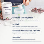 Muscle Health PLUS Creatine Formula